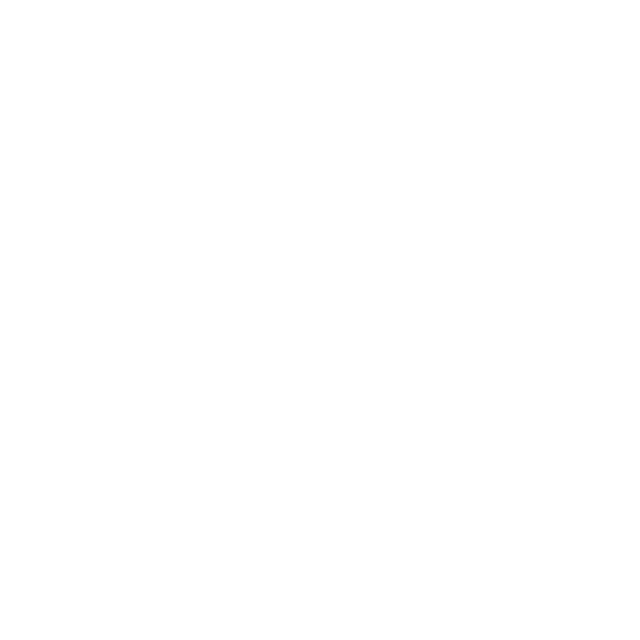 Ausland Aventuras